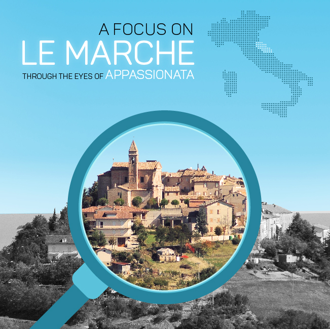 Focus on Le Marche