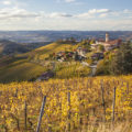 Autumn vineyards in Italy