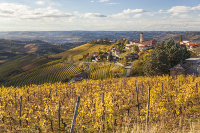 Autumn vineyards in Italy