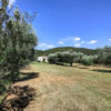 spring homes for sale in Italy on Gate-away.com