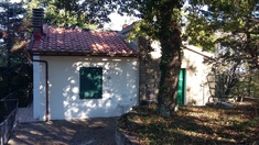 Detached house for sale in AREZZO (AR)