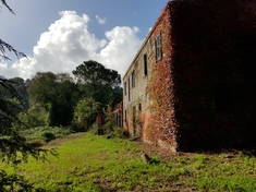 Country house for sale in ROMA (RM)
