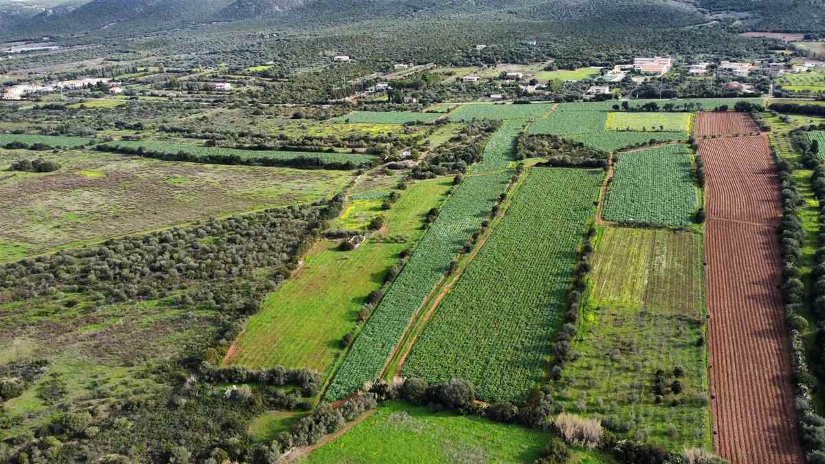 Terreno agricolo in vendita a Sant'anna Arresi