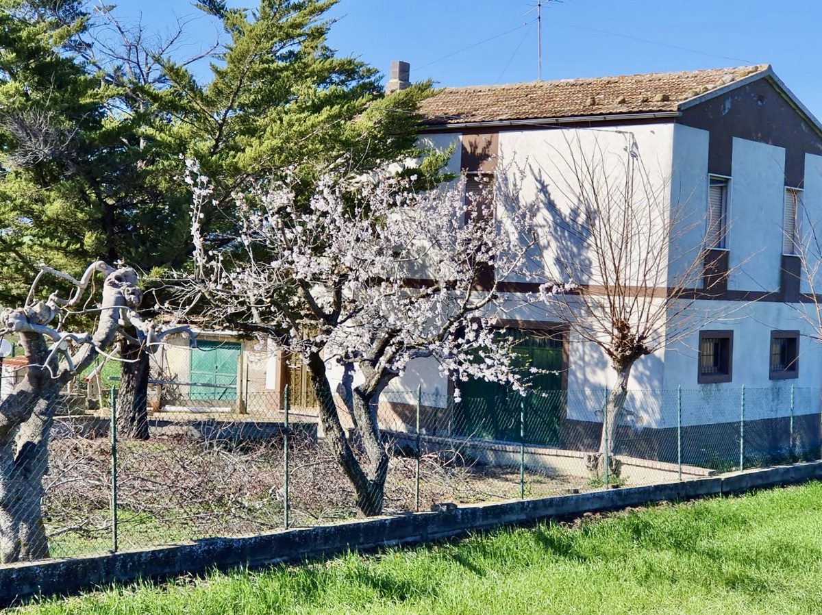 Casa di campagna in vendita 3 Stanze da letto a Montenero Di Bisaccia
