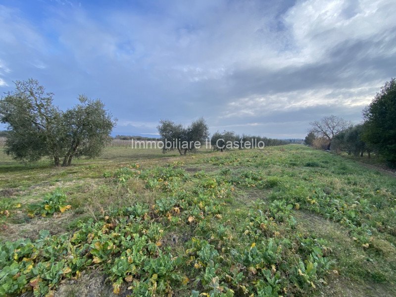 Terreno edificabile in vendita a Castiglione Del Lago