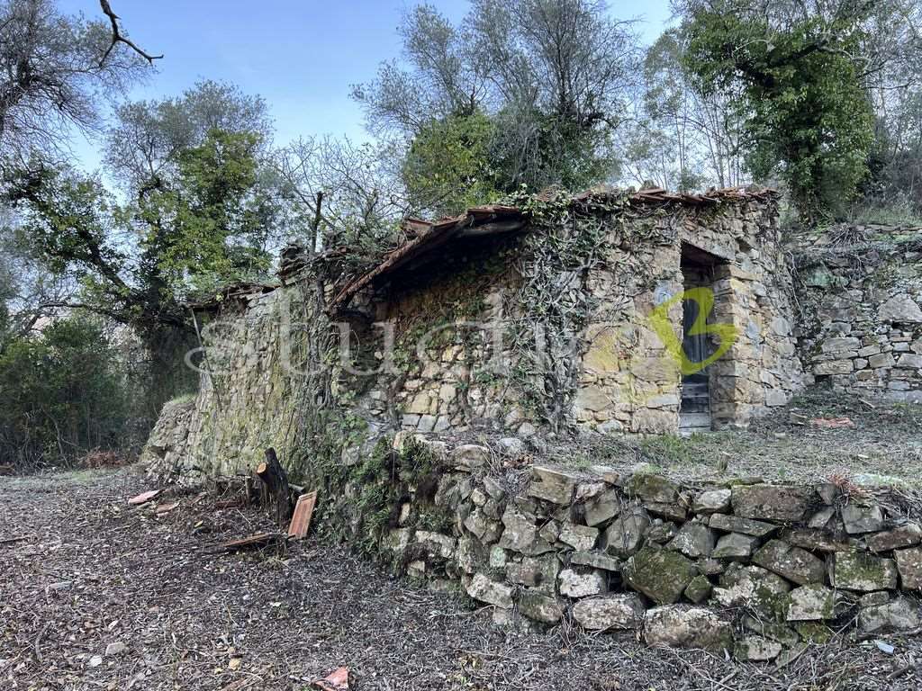 Casa in vendita a Vallebona